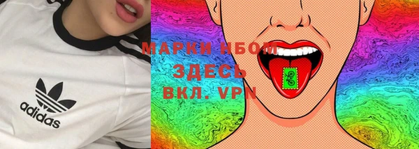 ГАЛЛЮЦИНОГЕННЫЕ ГРИБЫ Горно-Алтайск