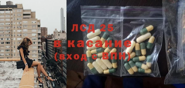 ГАЛЛЮЦИНОГЕННЫЕ ГРИБЫ Горно-Алтайск
