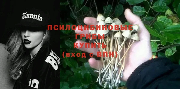 альфа пвп Горняк
