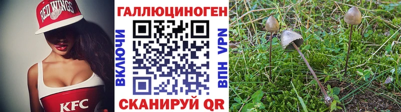 Галлюциногенные грибы GOLDEN TEACHER  Купить где  Кимры 